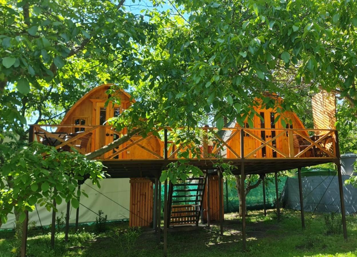 Cabanas Penaflor Glamping Exterior photo
